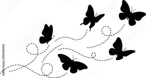 Flying Butterflies
