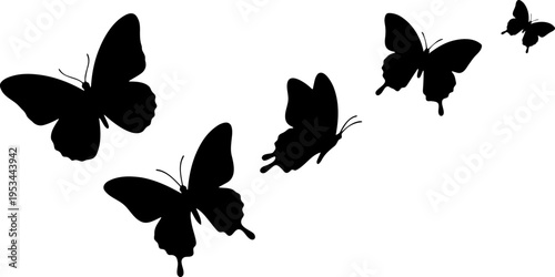 Flying Butterflies
