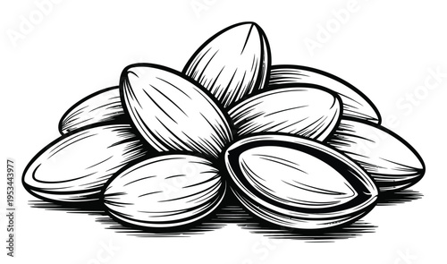 A Pile of Almonds in a Black and White