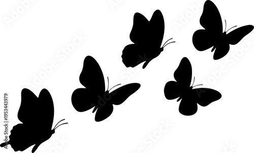 Flying Butterflies
