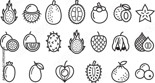 Tropical Fruits Outline Icon Set Minimal Line Fruit Icons Collection for Healthy Food and Summer Design