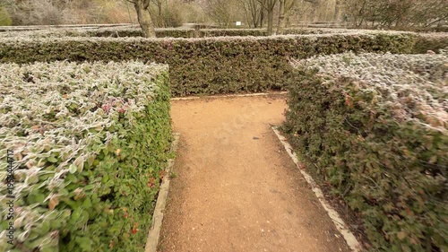 Wallpaper Mural Dense green hedges covered in white frost line a winding garden path. The quiet symmetry of the maze creates a calm, mysterious feeling for a cold morning walk in the park. Torontodigital.ca