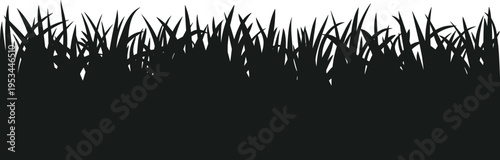 Black and white stylized vector illustration of tall grass blades with dense textured foliage pattern, natural countryside silhouette outdoor design