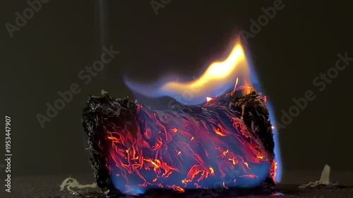 Wallpaper Mural A small bundle of fiber smolders with deep red embers and a vivid blue flame. The glowing heat creates a sense of raw energy and quiet intensity. It is a mesmerizing and powerful sight. Torontodigital.ca