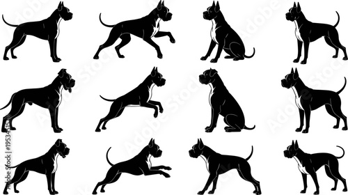 Dog silhouettes collection, boxer breed poses set, standing sitting running jumping canine figures, black vector isolated illustration for pet design