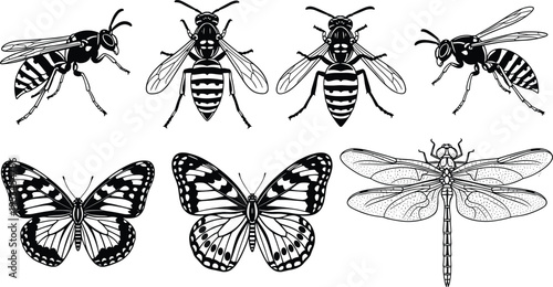 Wasp butterfly and dragonfly insect collection set in black and white cad drawing flat vector illustration for nature and science design