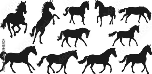 Horse silhouettes collection, running walking rearing horse poses, wild stallion farm animal movement concept isolated, flat vector illustration