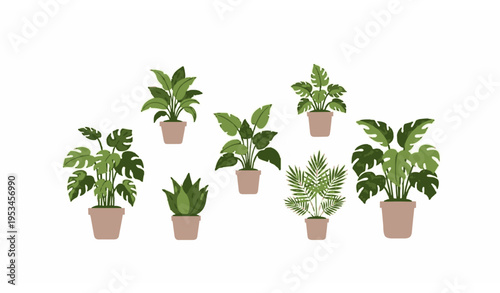 Green indoor plants set potted houseplants decor vector illustration