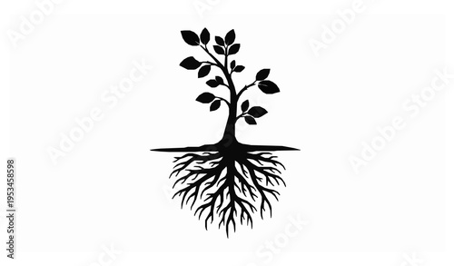 Seedling Tree with Roots Silhouette Growth Concept Nature Vector Illustration Isolated on White Background