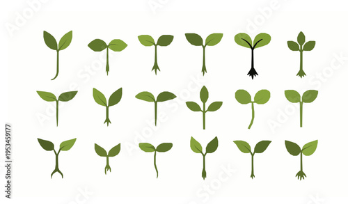 Set of Seedling Tree Growing Icons Green Eco Plant Collection Flat Vector Isolated on White Background