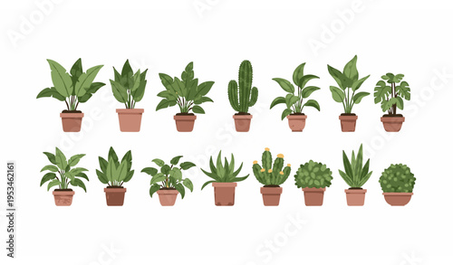 Potted indoor plants collection green foliage decor vector set