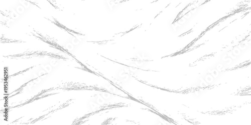 Abstract white background with feathers and lines features a textured winter pattern of cold ice and vintage paper art