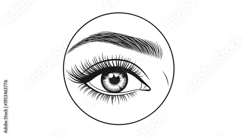 Close up detailed black and white illustration of a human eye with long eyelashes and a well defined eyebrow within a circle.