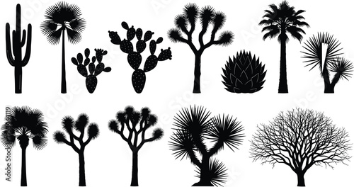 Desert Plants and Trees Silhouette Set Featuring Saguaro Cactus Prickly Pear Joshua Tree Agave Palm and Dry Acacia Branching Vector