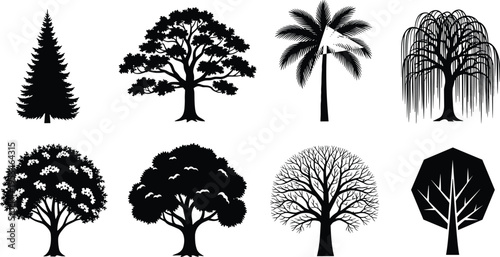 Set of black tree silhouettes including pine oak palm willow and deciduous species isolated on white background for landscape design vector