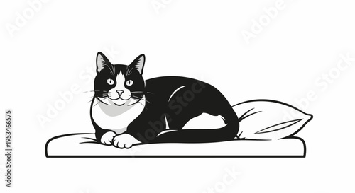A black and white stylized cat rests serenely on a cushion