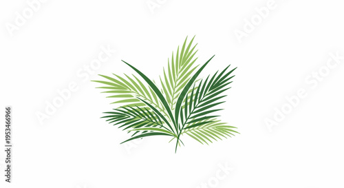 A bouquet of lush green palm leaves arranged against a white background