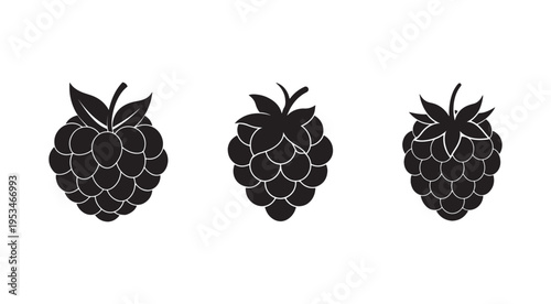 Blackberry fruit icons with leaves  three black silhouettes on white background