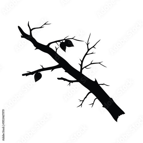 Silhouette of a bare tree branch with few leaves, elegant vector illustration, dead birch branch silhouette vector illustration