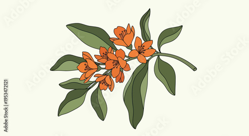 Orange flowers with green leaves branch.