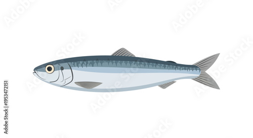 Detailed illustration of a small fish.
