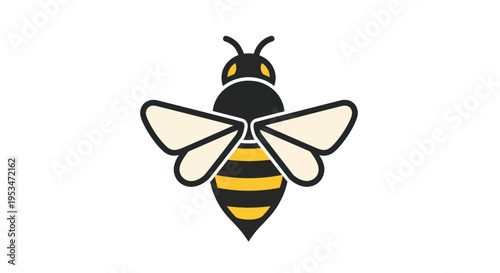 Detailed illustration of a honey bee.