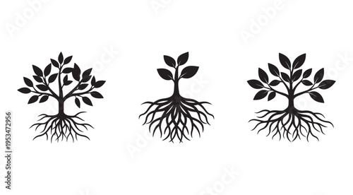 Tree silhouettes with roots and leaves  three black tree silhouettes with visible roots and leaves on white background  ecological and botanical concept