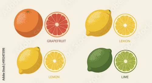 Assortment of Citrus Fruits: Grapefruit, Lemon, and Lime, Whole and Sliced