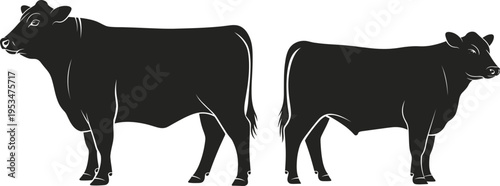 Silhouette collection of cows, cattle artwork illustration, farm animal design inspiration, agricultural livestock silhouette comparison