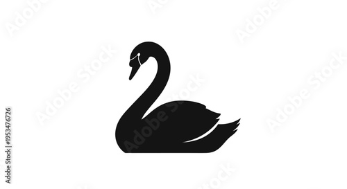 Black Swan Bird Silhouette Side View.