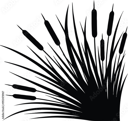  Black Silhouette of Cattails and Marsh Grass Isolated on White Background