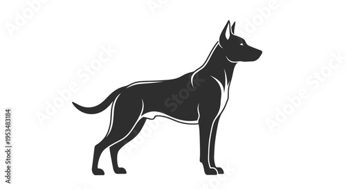 Black dog standing profile view.