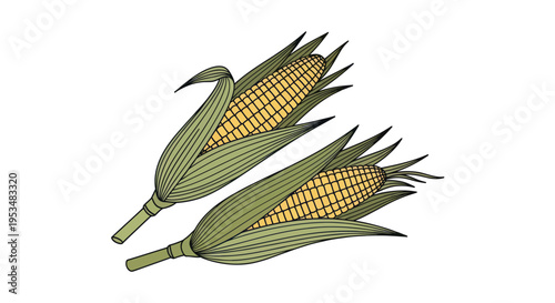 Two Ears of Yellow Corn.