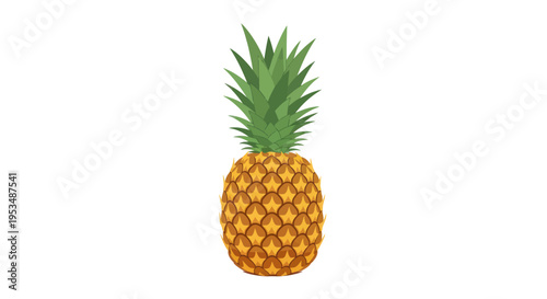 Fresh Pineapple Fruit Isolated on White.