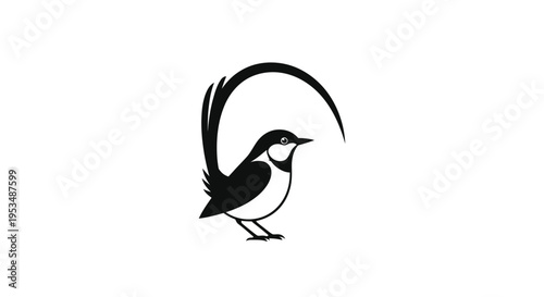 Black and white quail bird standing.