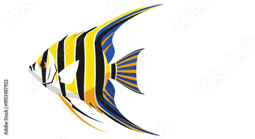 Colorful Yellow Black Fish Swimming.