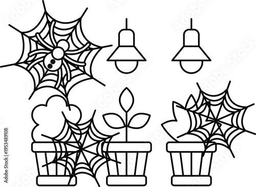 Spiders weave intricate webs above potted plants