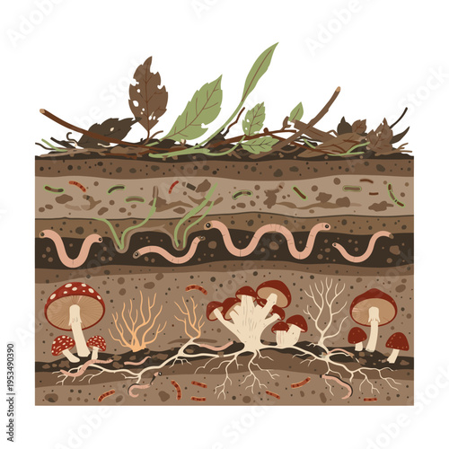Underground soil ecosystem cross section with earthworms and fungi