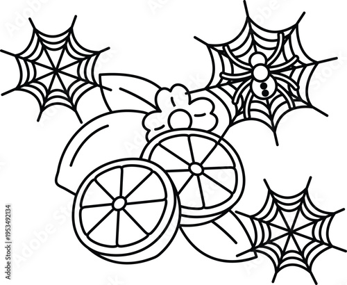 Spiders spin webs above sliced citrus fruits