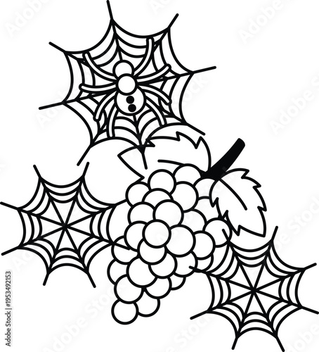 Spider weaves intricate webs around a cluster of grapes