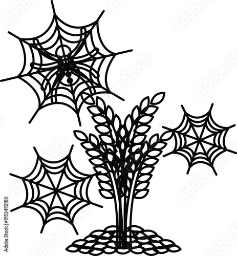 Spiders spin intricate webs around wheat stalks