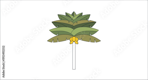 Palm tree with green leaves.