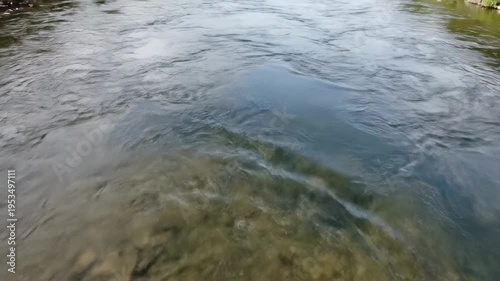 Flowing river water with visible rocks beneath the surface, rippling reflections and gentle currents, surrounded by lush greenery along the riverbanks