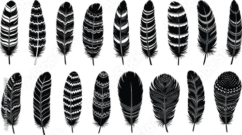 Feather silhouette collection, tribal boho feather set, decorative bird plumage elements, native style ornamental feathers vector illustration