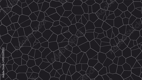 Intricate white line network creates a complex cracked pattern across a dark black background suggesting a cellular or stone texture.