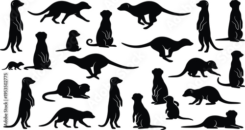 Meerkat silhouettes collection in various poses, wildlife animal set, standing and sitting positions, nature illustration, black silhouette design, zoology and animal behavior concept