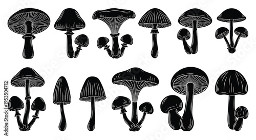 Mushroom Silhouette Set, Wild Forest Fungi Toadstools Black Botanical Vector Collection Isolated