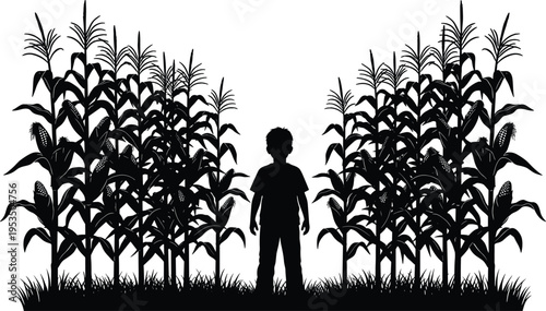 Child standing in cornfield silhouette, agriculture maize farm plants illustration, rural farming harvest concept with kid and corn crops
