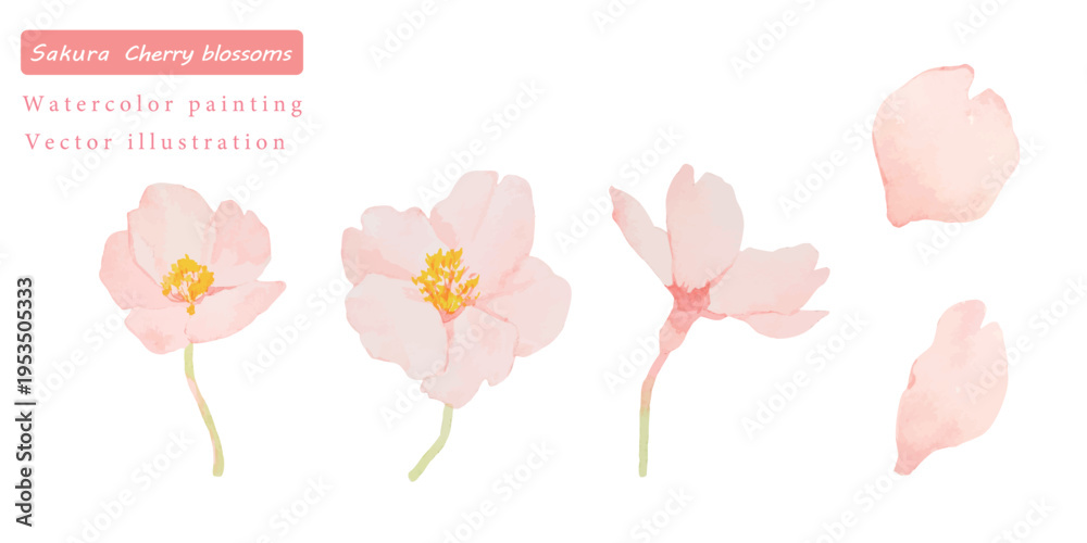 Obraz premium 水彩で描いたかわいい桜の花のベクターイラスト素材