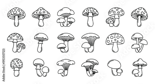 Mushroom Line Icon Set, Wild Forest Fungi Toadstools Outline Botanical Vector Collection